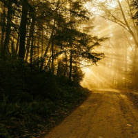 O Jesus I have Promised