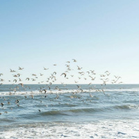 2 Corelli - Trumpet Concerto, 3rd Movement