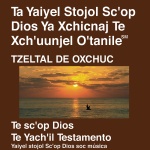 Tzeltal de Oxchuc Biblia - Tzeltal de Oxchuc Bible