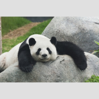 Lazy Manifesting: Drafting for Alignment