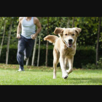 Whos Training Who?