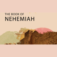 The Joy of the Lord - Audio