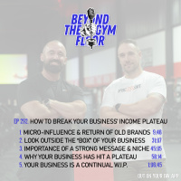 Ep 292 - How to break your business income plateau
