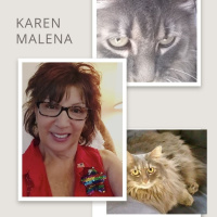 Interview with Karen Malena: Cats amp Crafts (Creating cute junk journals)