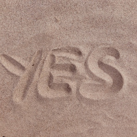 Say yes