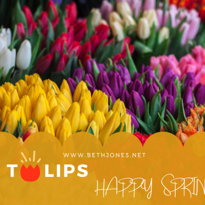 Beth Jones International Speaker