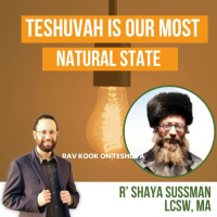 Rav kook (27) A Health Soul | Orot HaTeshuvah