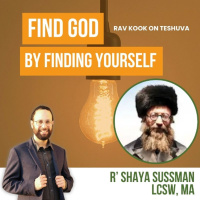 Rav Kook (26) Finding God by Finding Yourself | Orot HaTeshuva