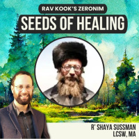 Rav Kook (24) Nationalism: Light Without Vessels? Or vessels without Light?