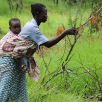 Starting from Scratch in Uganda