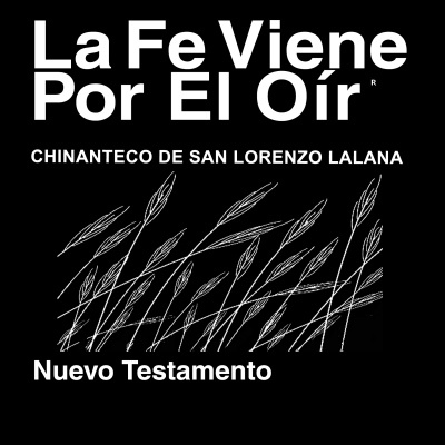 Chinanteco de San Juan Lalana Biblia (no dramatizada) - Chinanteco de San Juan Lalana Bible (Non-Dra...