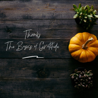 Thanks: The Basics of Gratitude, pt. 3 - Thanks a Lot