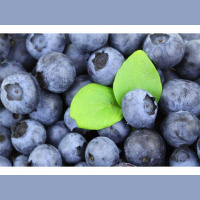 Part 2-African Holistic Health - The Overlooked Revolution