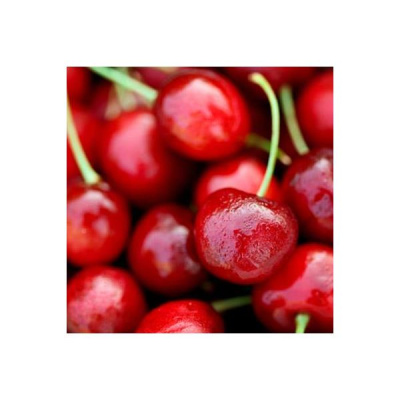 Grassroots Holistic Health