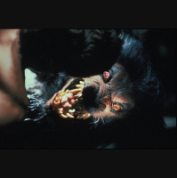 #133 Howling V: The Rebirth