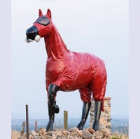 Rocky Flats Cold War Horse