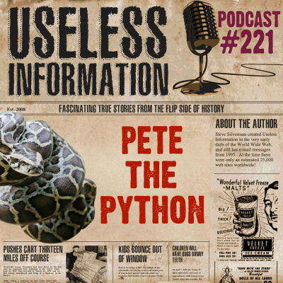 Useless Information Podcast