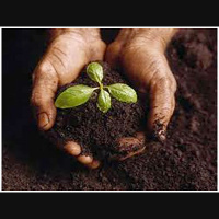 The New Fundamentals - The Rev. Jon Dephouse