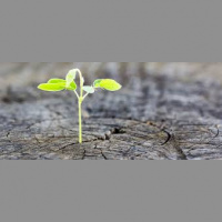 Hope over fear - The Rev. Jon Dephouse