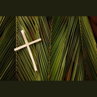 Expectation - The Rev. Jon Dephouse