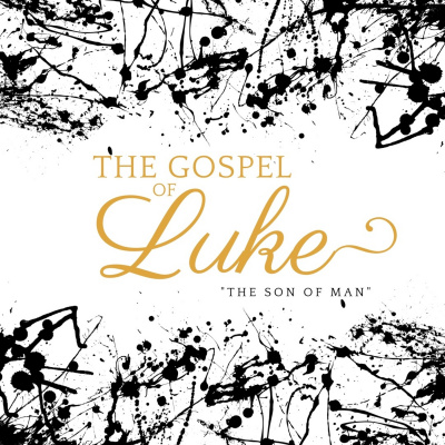 Stone Oak Bible