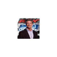 PRO WRESTLING YEAR IN REVIEW 2013