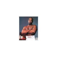 Former WWE Superstar Virgil on KingJordanRadio