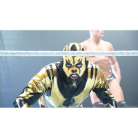 Survivor Series update,TNA,Undertaker CM Punk More on KingJordan Radio