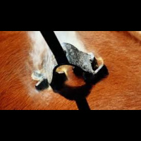 Branded - Prt 1 There Is Good In It