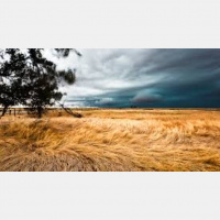 The Winds of Change