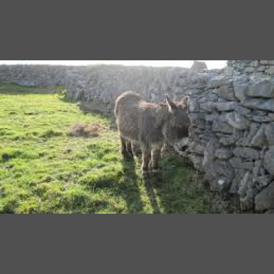 Gabriel Beady Ministries