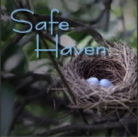 Jesus in HD (Part 1) -- A Chronological Study of the Life of Christ