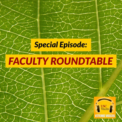 Viterbi Voices: The Podcast