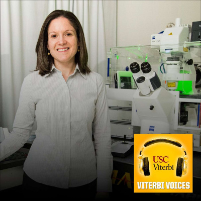 Viterbi Voices: The Podcast