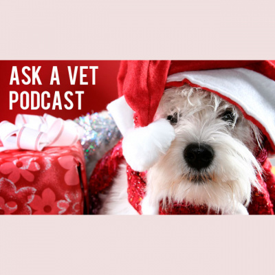 Ask A Vet