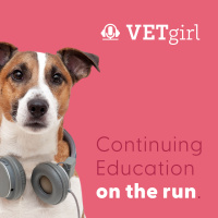 Apomorphine vs. Ropinirole as an Emetic in Veterinary Medicine | VETgirl Veterinary Continuing Education Podcasts