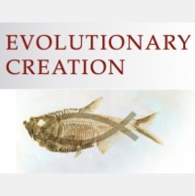 Evolving Faith