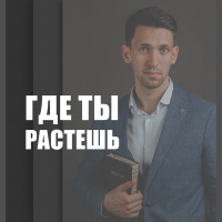 Антон Тищенко: Где ты растешь (142)
