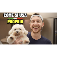Episode 677: Come Usare PROPRIO In Italiano: La Guida Completa | Imparare l’Italiano