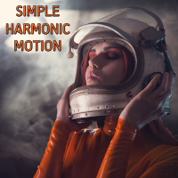 Simple Harmonic Motion