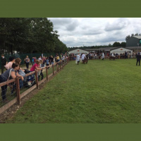 Shetland pony Grand National at the Great Yorkshire Show
