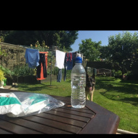 A hot weekend at my parents in July 2015