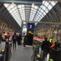 Guide dog working diary 2016: Day 31c - Back in London