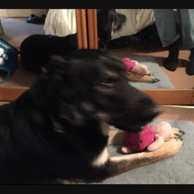 Robert Johnsons Posts