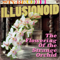 S10E04: THE FLOWERING OF THE STRANGE ORCHID