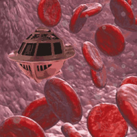 Checking the Cell Structure