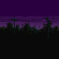 Dreams Are Real While They Last