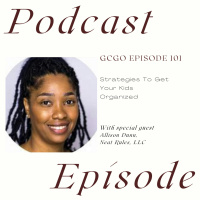 Strategies To Organize Your Kids with Allison Dunn