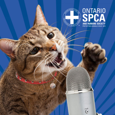 Ontario Spca