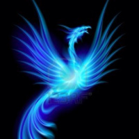 haiku flow: the Phoenix - A Haiku Trio